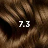 PHYTO COLOR 7.3 ZŁOTY BLOND
