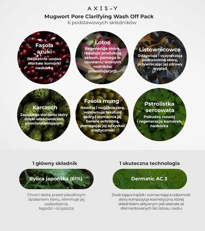Mugwort Pore Clarifying Wash Off Pack oczyszczająca maska do twarzy z bylicą 100ml