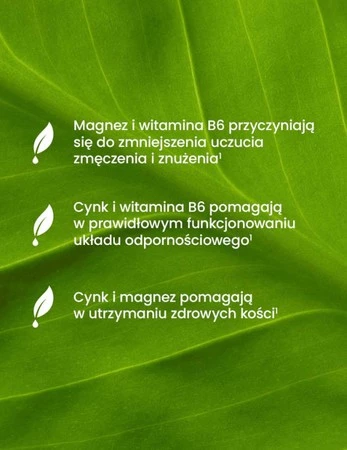 ESSENSEY MAGNEZ+CYNK+B6 120 kaps