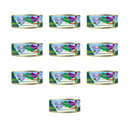 Zestaw 10x Renske Turkey with duck – świeży indyk z kaczką dla psów (95g)