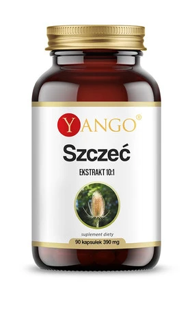 Szczeć Ekstrakt 390mg suplement diety 90 kapsułek