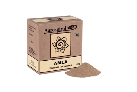 Amla Proszek (100 g)