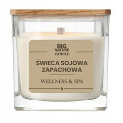 Big Nature Świeca sojowa o zapachu WELLNESS&SPA 220g