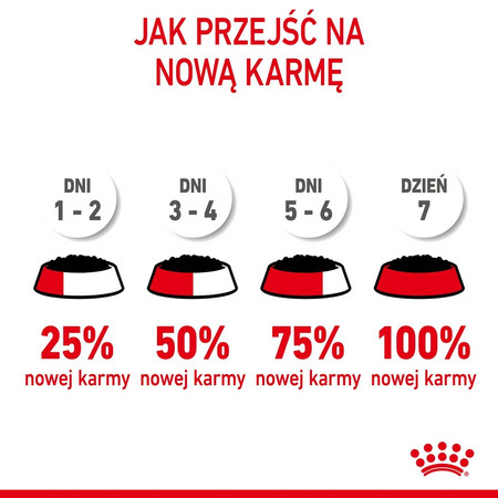 ROYAL CANIN KITTEN w pasztecie 85g
