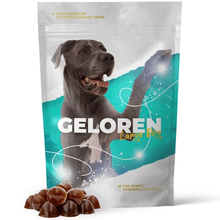 Geloren Large Dog 420g - Mieszanka uzupełniająca, żelki dla dużych psów na stawy 60 szt.