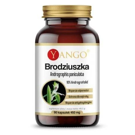 Yango Brodziszka 90 k