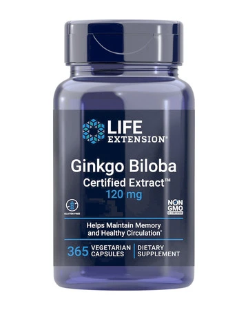 Ginkgo Biloba Certified Extract 120 mg (365 kaps.)