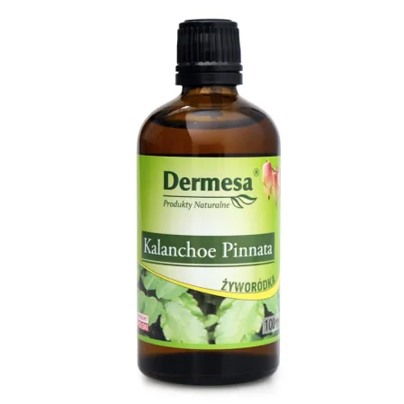  DERMESA Sok z Żyworódki 100ml (Kalanchoe Daigremontiana)