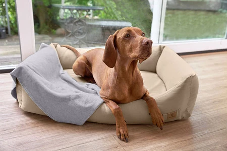 PALOPA Legowisko dla psa bawełniane Fred humus XS