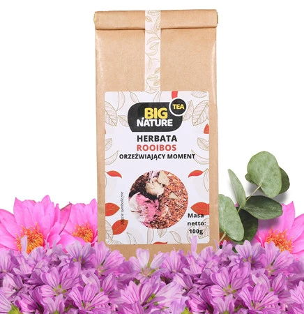 Herbata ROOIBOS ORZEŹWIAJĄCY MOMENT 100g