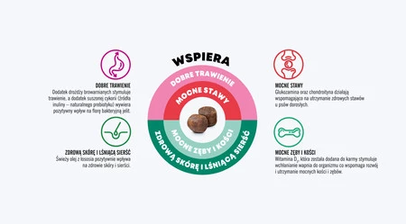 John Dog Karma Sucha Good Form Adult Wieprzowina Z Wołowiną Średnie i Duże rasy 12 kg