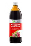 Koniczyna Czerwona