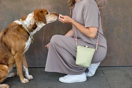 PALOPA Torebka saszetka na smakołyki dla psa Karl pale khaki M