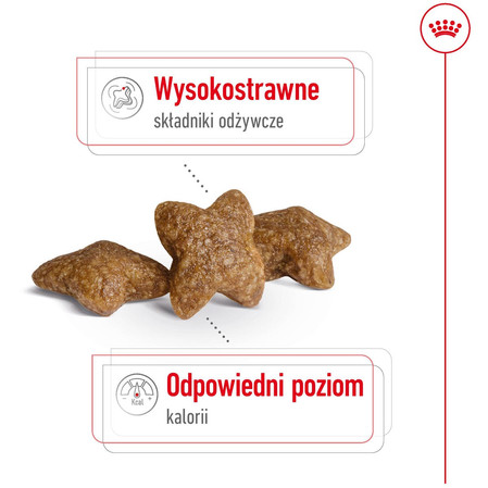 ROYAL CANIN Mini Adult S 2kg + 3 Saszetki 85g GRATIS !!