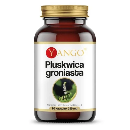 Yango Pluskwica groniasta 390 mg 90 k menopauza