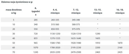 HAPPY DOG Sensible PUPPY JUNIOR Jagnięcina Ryż 400g