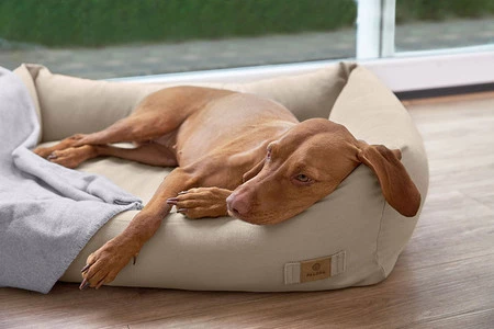 PALOPA Legowisko dla psa bawełniane Fred humus M