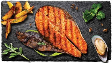 PAKA ZWIERZAKA Łosoś Ryby Bałtyckie M bez zbóż 3kg