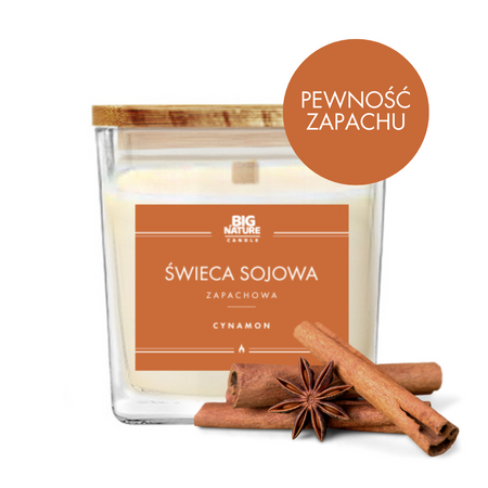 Big Nature Świeca sojowa o zapachu CYNAMON 205g