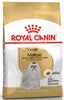 ROYAL CANIN Maltese Maltańczyk Adult 1,5kg