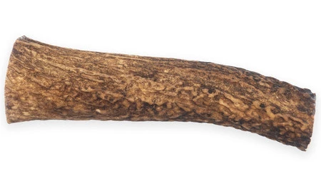 MACED 100% Natura Poroże Jelenia Roz.M