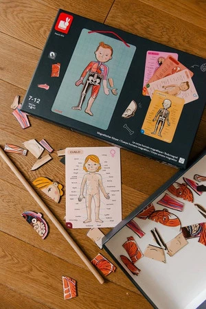 Janod Układanka magnetyczna Ciało człowieka