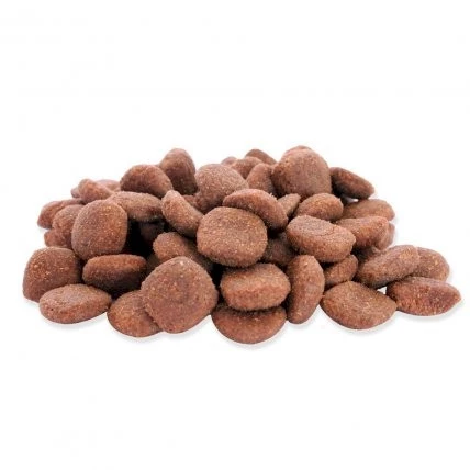 Fitmin Dog For Life Adult Large Breed sucha karma dla psa 12kg