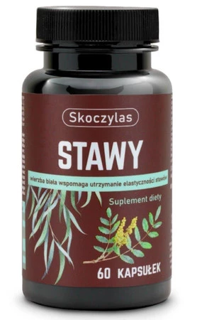 Skoczylas Stawy 60 kap