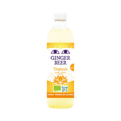 Piwo Imbirowe Bezalkoholowe Fair For Life BIO 750 ml smak owoce tropikalne