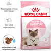 ROYAL CANIN Mother / BABYCAT 2kg