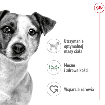 ROYAL CANIN Mini Adult S 2kg + 3 Saszetki 85g GRATIS !!
