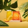 Natures sunshine Collagen Marine Glo hydrolizowany kolagen rybi 30 saszetek smak tropikalny