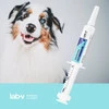 Lab-V CarboVet DOG Preparat o właściwościach odtruwających dla psów 10ml