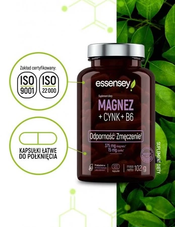 ESSENSEY MAGNEZ+CYNK+B6 120 kaps