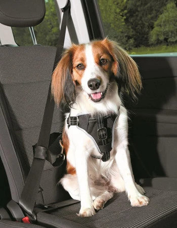 TRIXIE Szelki samochodowe Dog Comfort S-M