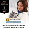 PURINA PVD NF Renal Function Advanced Care Feline 1,5kg