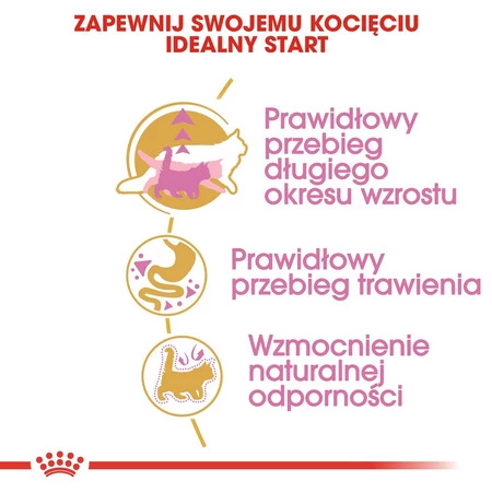 ROYAL CANIN Maine Coon Kitten 2kg