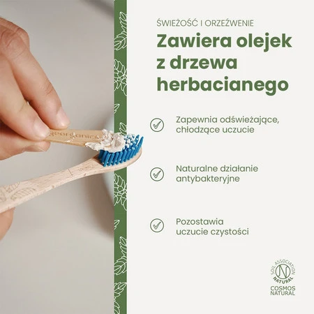 Georganics, Mineralna pasta do zębów w słoiku, bez fluoru, do codziennej pielęgnacji, smak drzewa herbacianego, 60 ml