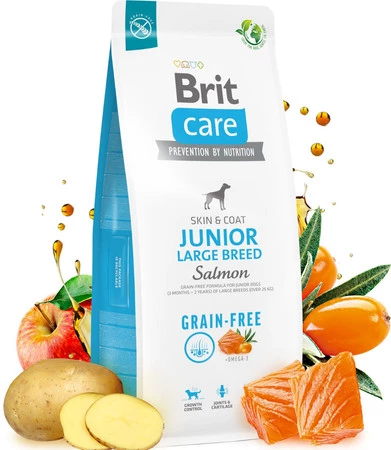 BRIT Care Dog Grain Free Junior Large Breed Salmon 1kg