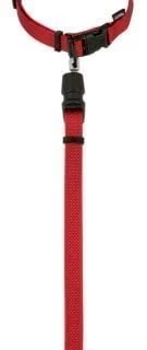 KERBL GoleyGo Zestaw Obroża + Smycz Czarne S