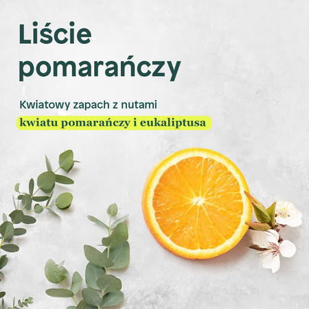 Attitude SUPER LEAVES™, Odżywka do włosów nadająca objętość i blask, 240 ml