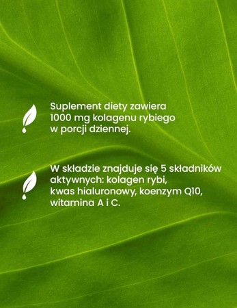 ESSENSEY KOLAGEN RYBI PREMIUM FORMULA + 90 kaps