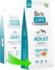 BRIT Care Dog Grain Free Adult Salmon 3kg