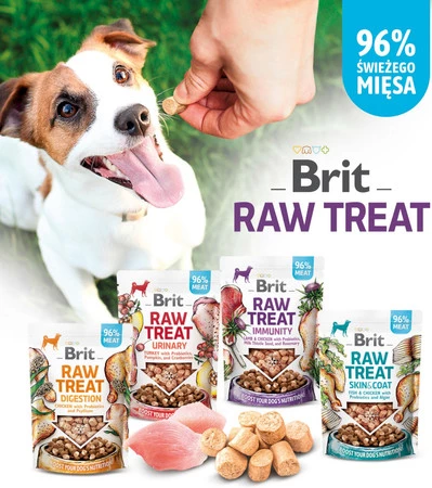 BRIT Dog Raw Treat SKIN / COAT Ryba Kurczak Algi 40g