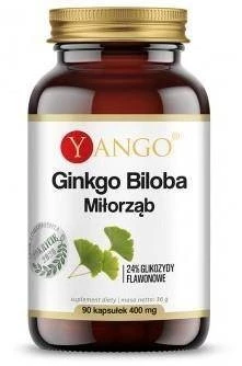 Ginkgo Biloba 310mg suplement diety 90 kapsułek