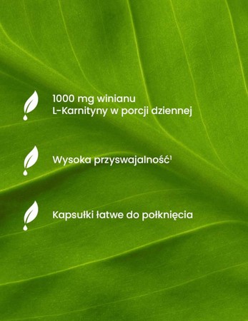 ESSENSEY L-KARNITYNA 90 kaps
