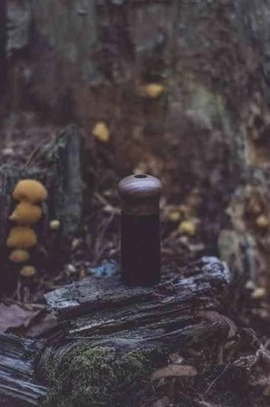 SKEPP - Pojemnik na sól morską Walnut, drewniane w