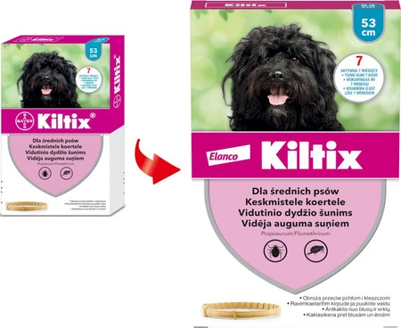 BAYER KILTIX M Średnia Obroża dla psa na kleszcze pchły