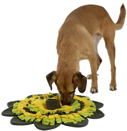 KERBL Mata węchowa Sunflower Zabawka sensoryczna 60cm