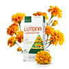 Medica Herbs Luteina + Zeaksantyna80 kaps.